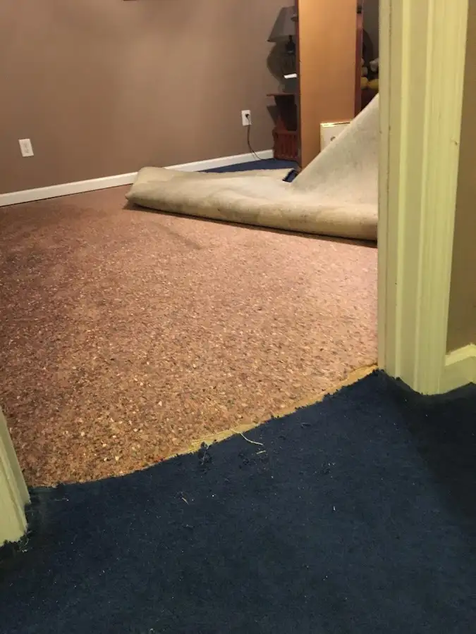 Carpet pad removal revealing water damage during Water Mitigation Services in Holtville