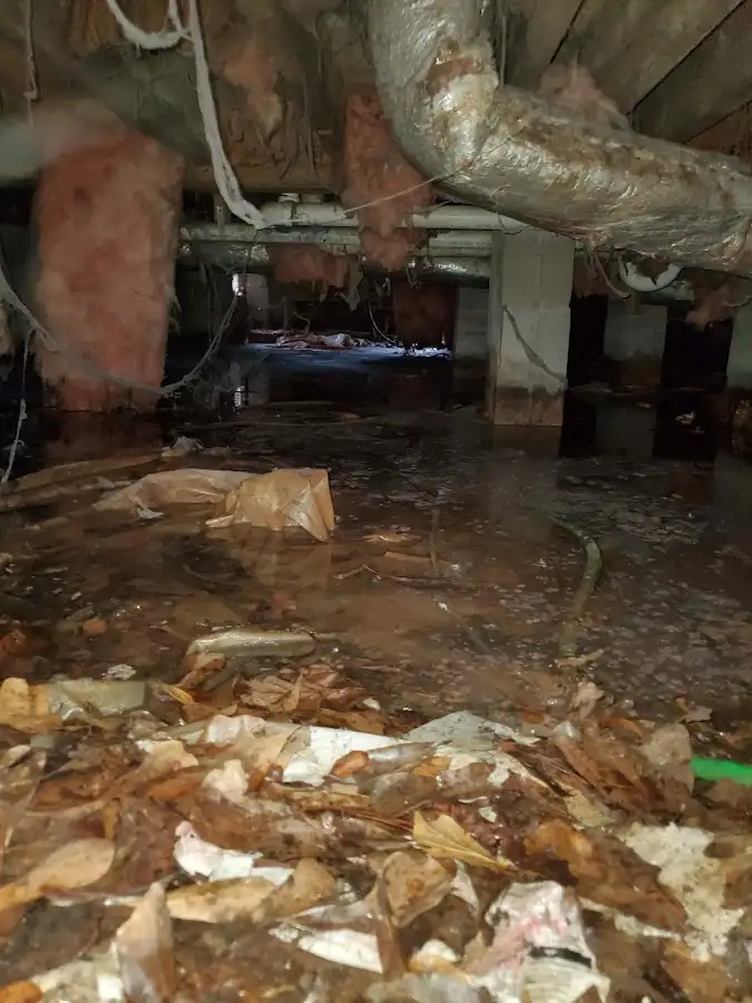 Crawl space flood assessment for Commercial Water Damage Restoration in Holtville