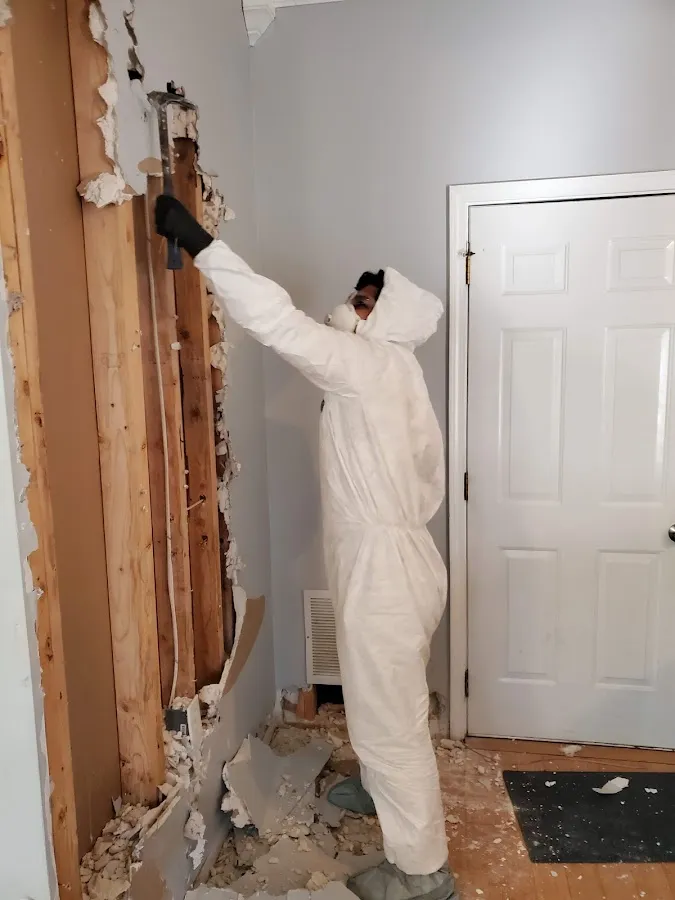 Water Damage Restoration services in Holtville, AL